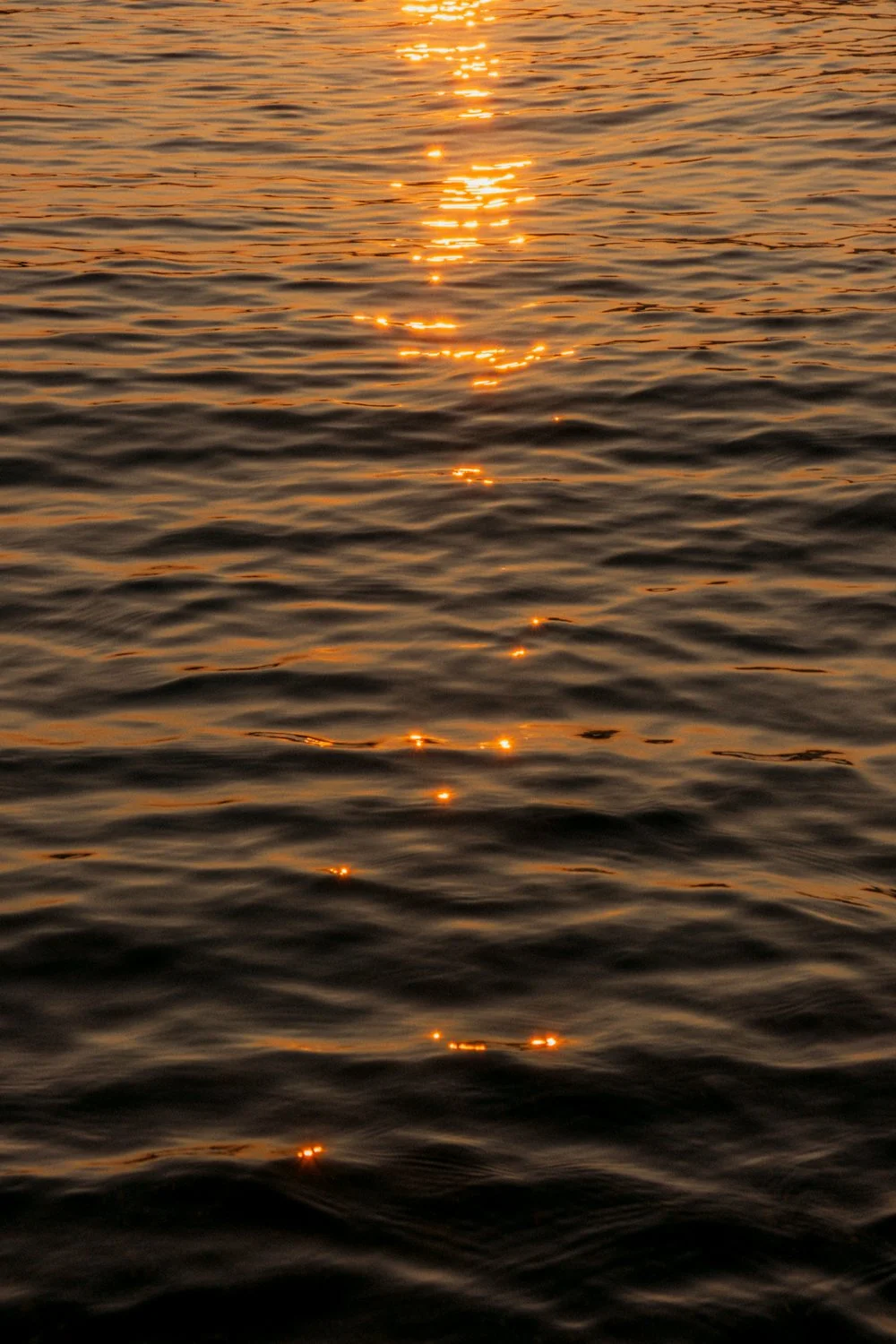 DSCF0916.jpg
