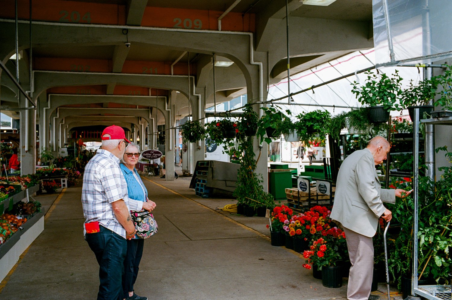 0466-05.jpg