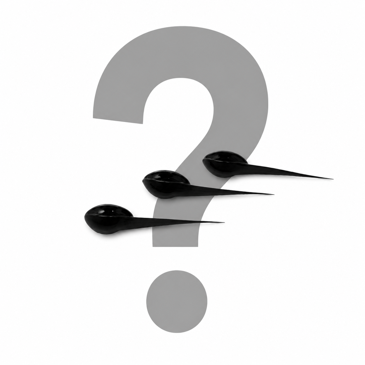 ChatGPT Image Sep 2, 2026, 03_51_16 PM.png