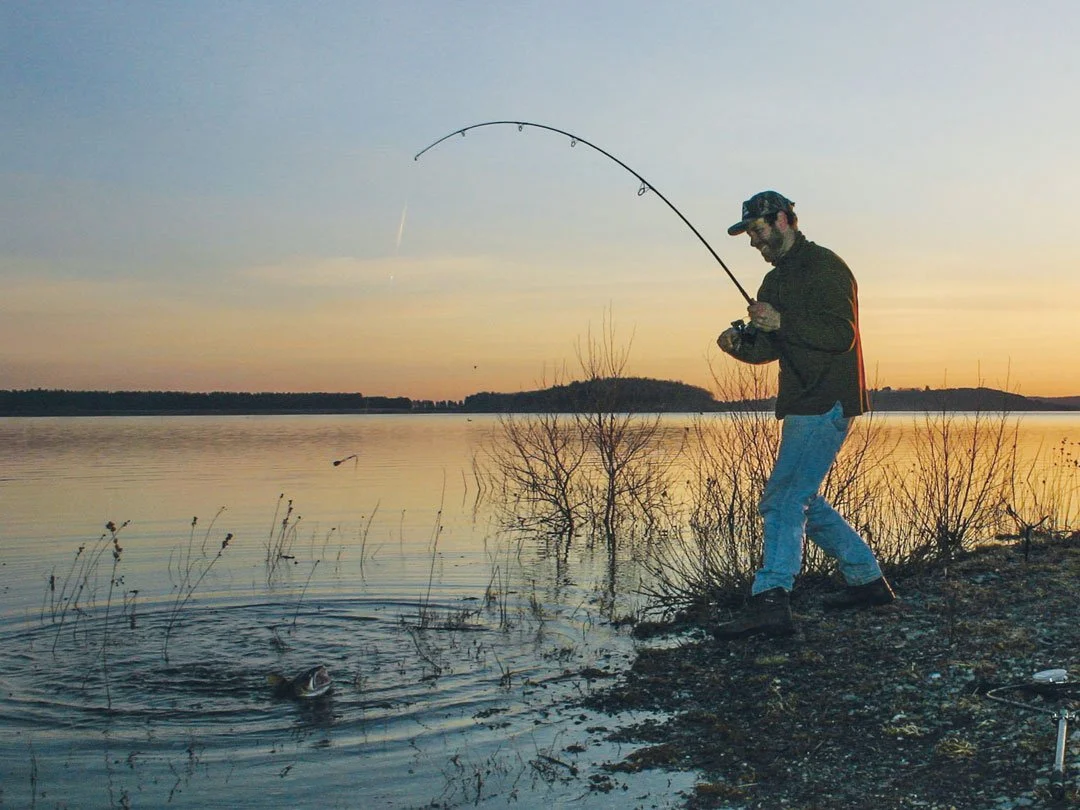 laketrout-shore.jpg