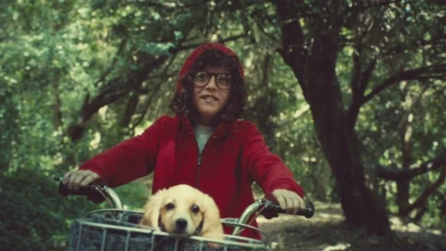 HSBC "Life Cycle" by Jesper Ericstam