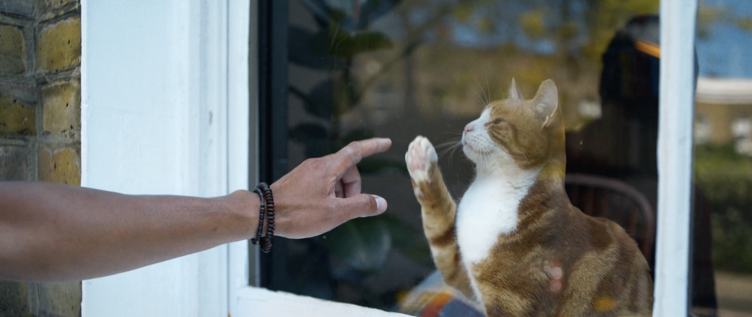 Screenshot 2025-01-06 at 12.58.06.png