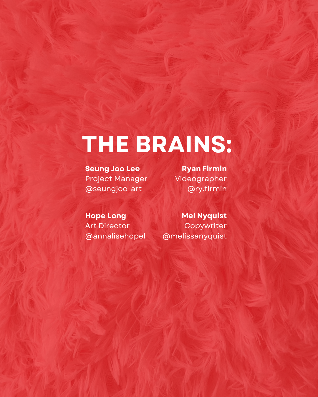 SOCKINGLY COMFORTABLE-  The Dream Team! 