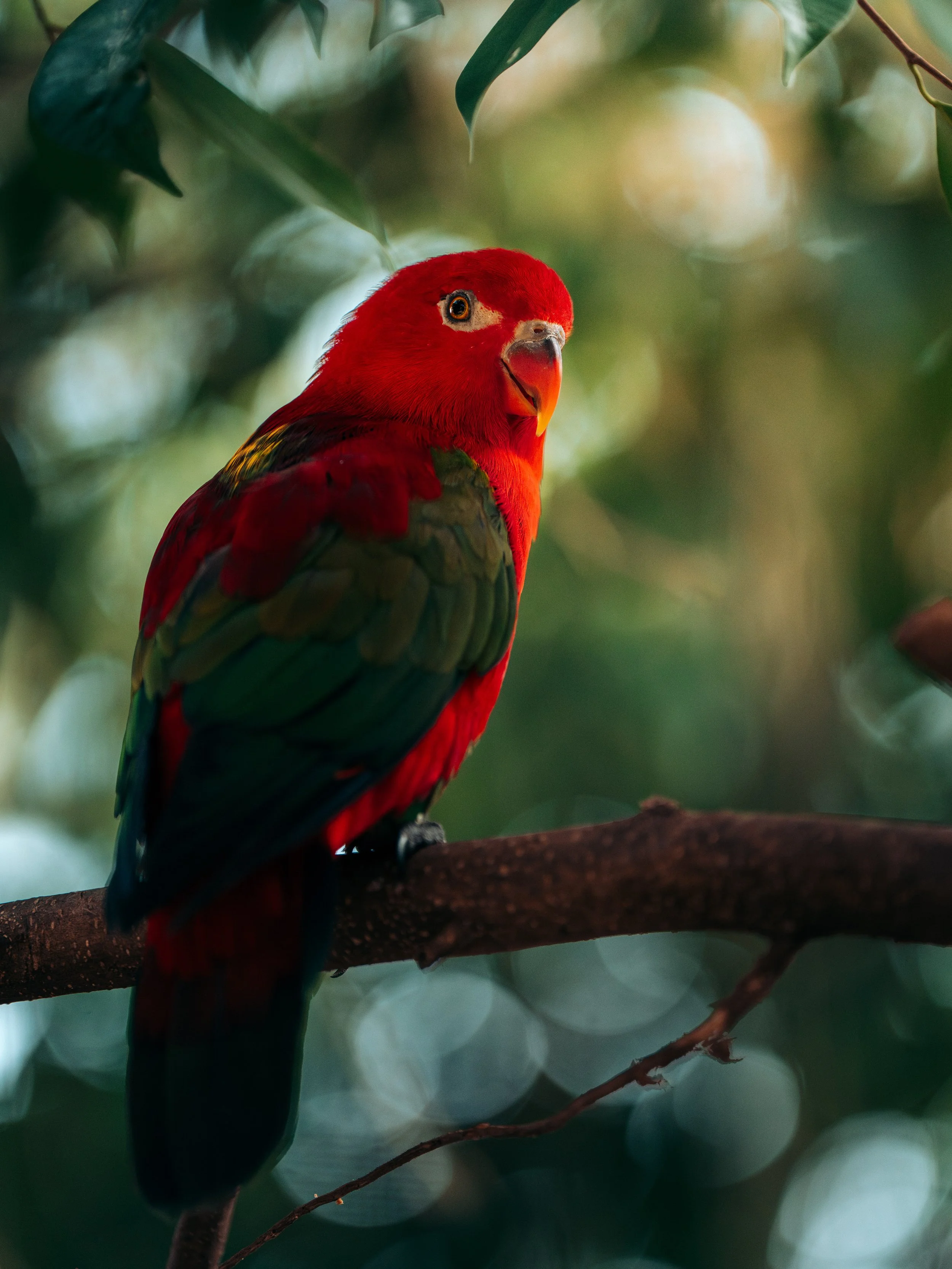 A7_08093-Avec accentuation-Bruit.jpg