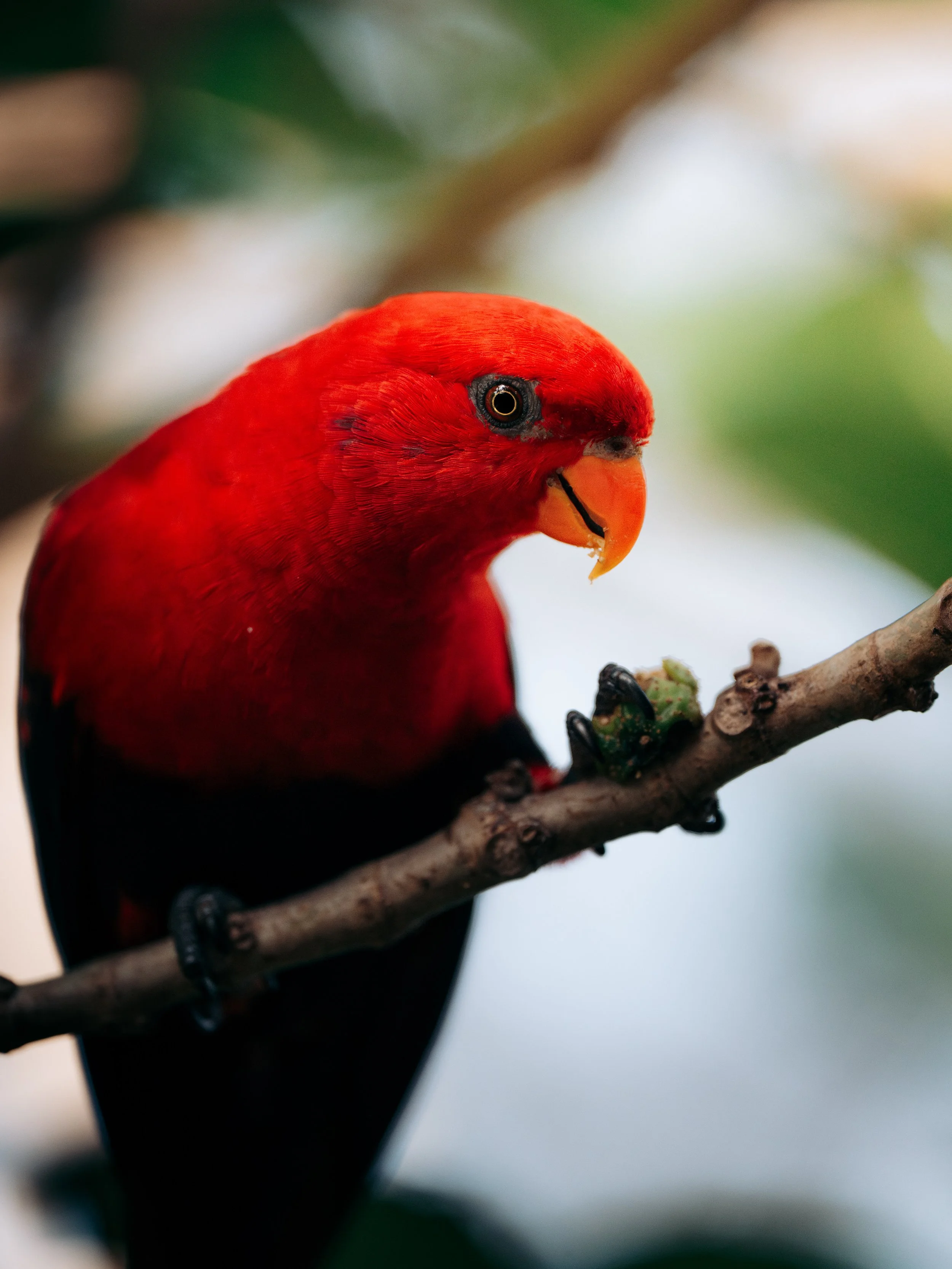 A7_08097-Avec accentuation-Bruit.jpg