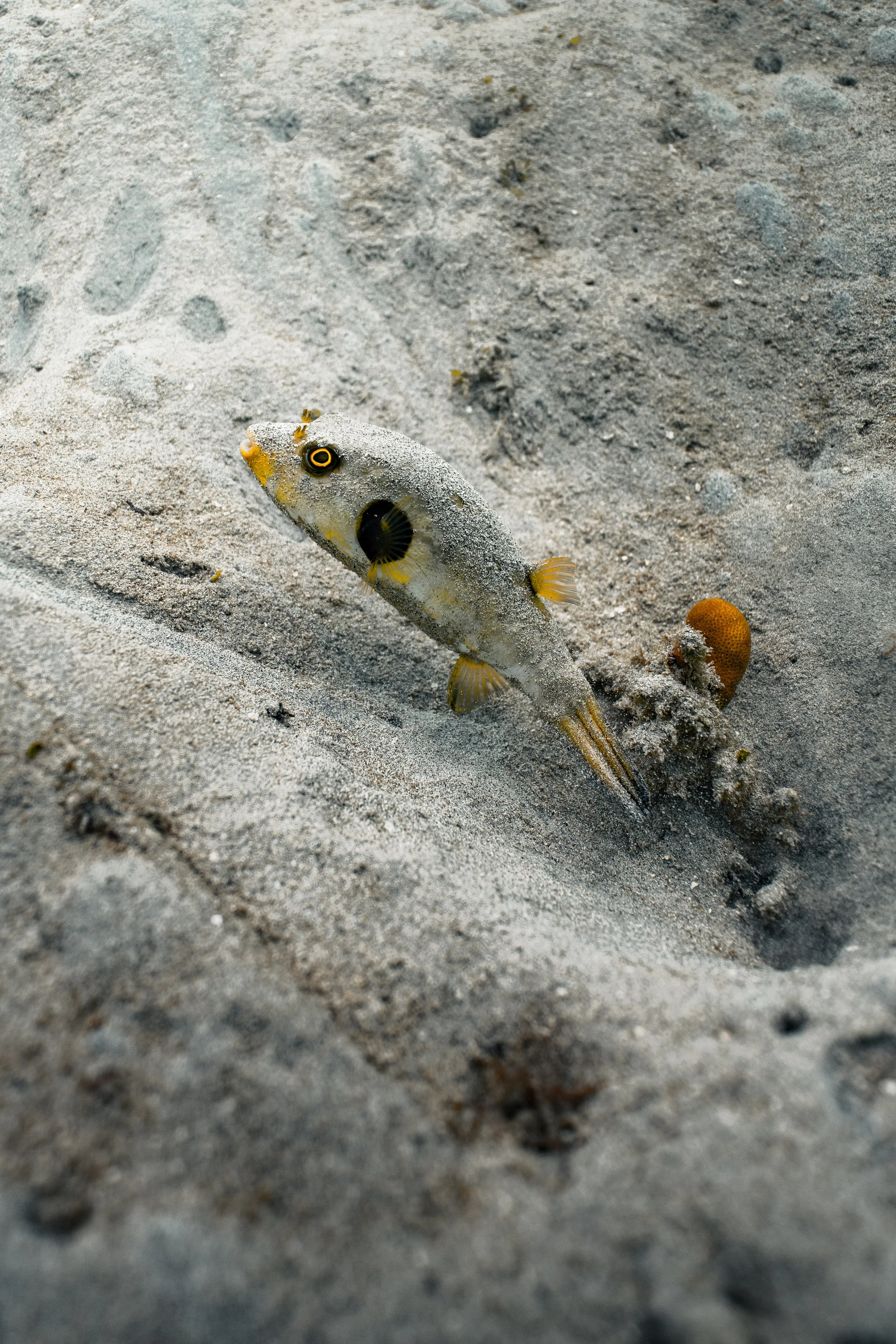 Underwater_37.jpg
