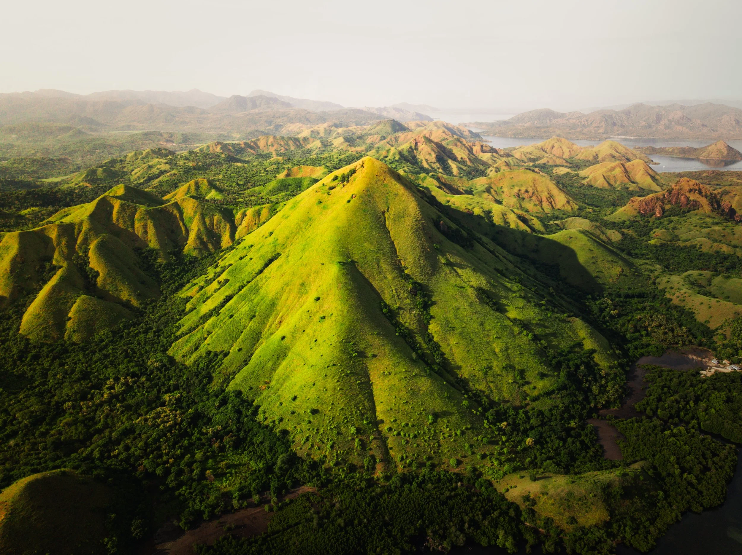 Komodo_Drone_16.jpg