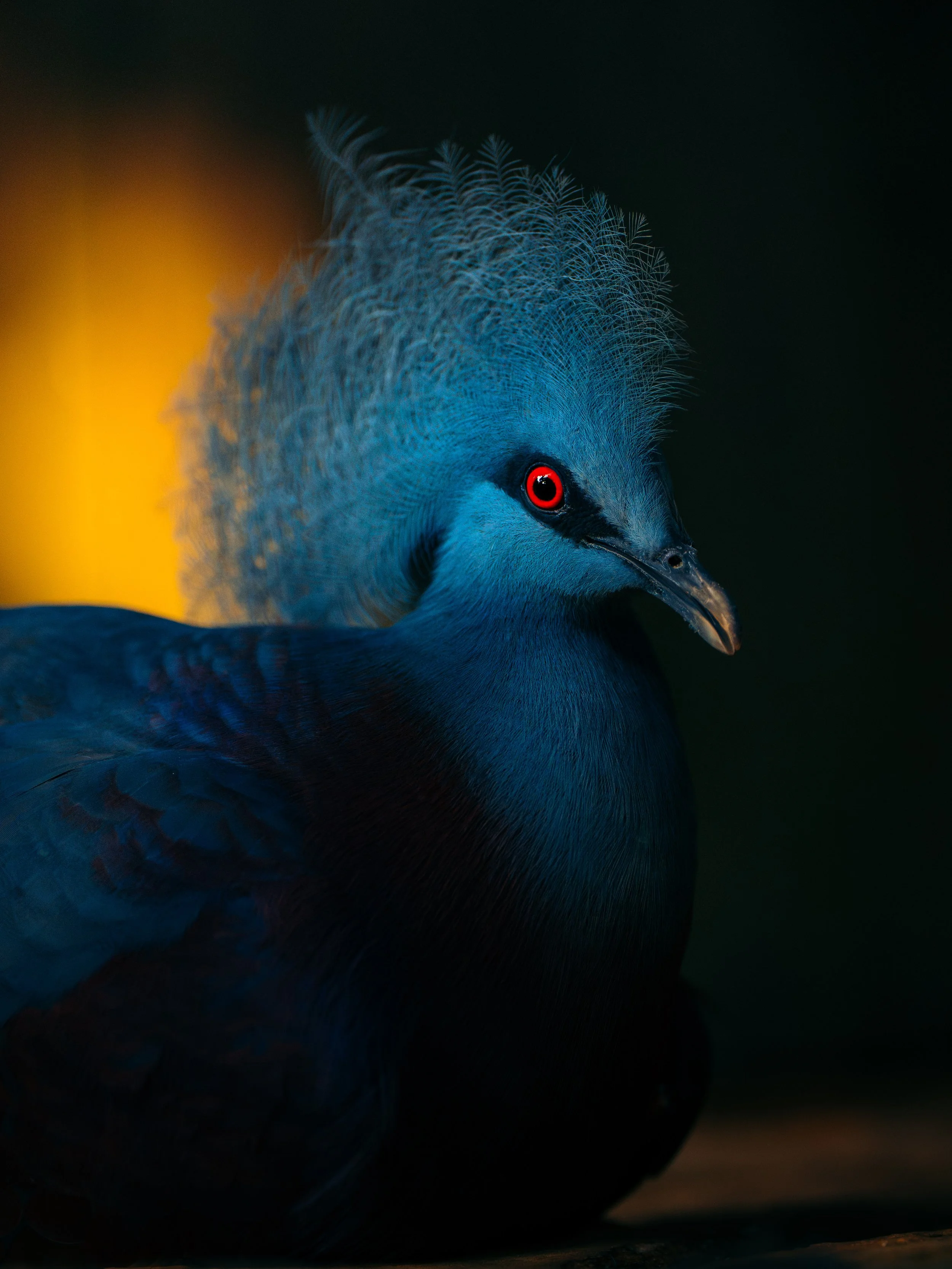 A7_08141-Avec accentuation-Bruit.jpg