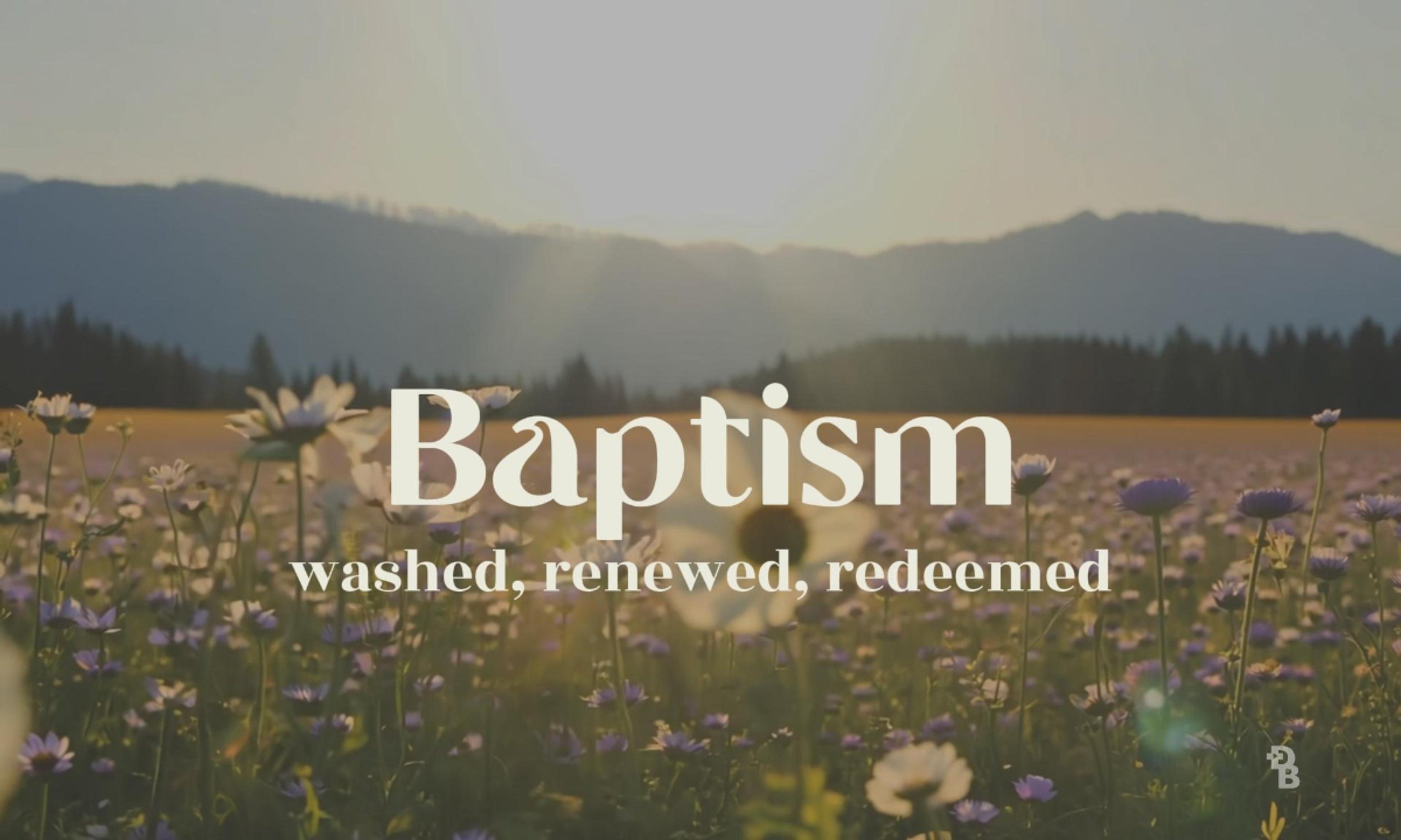 WILD FLOWER Baptism Still