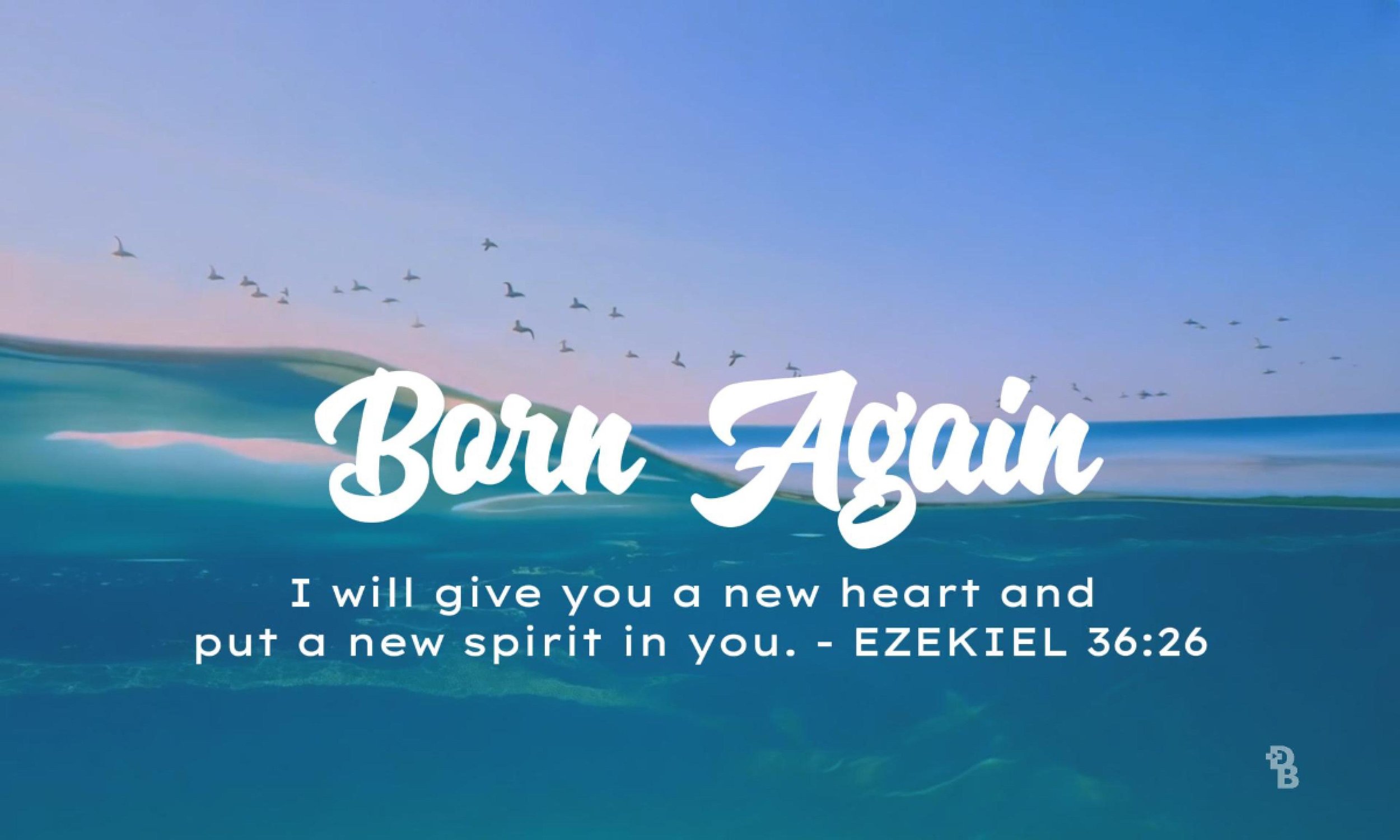 WAVES Born Again Still