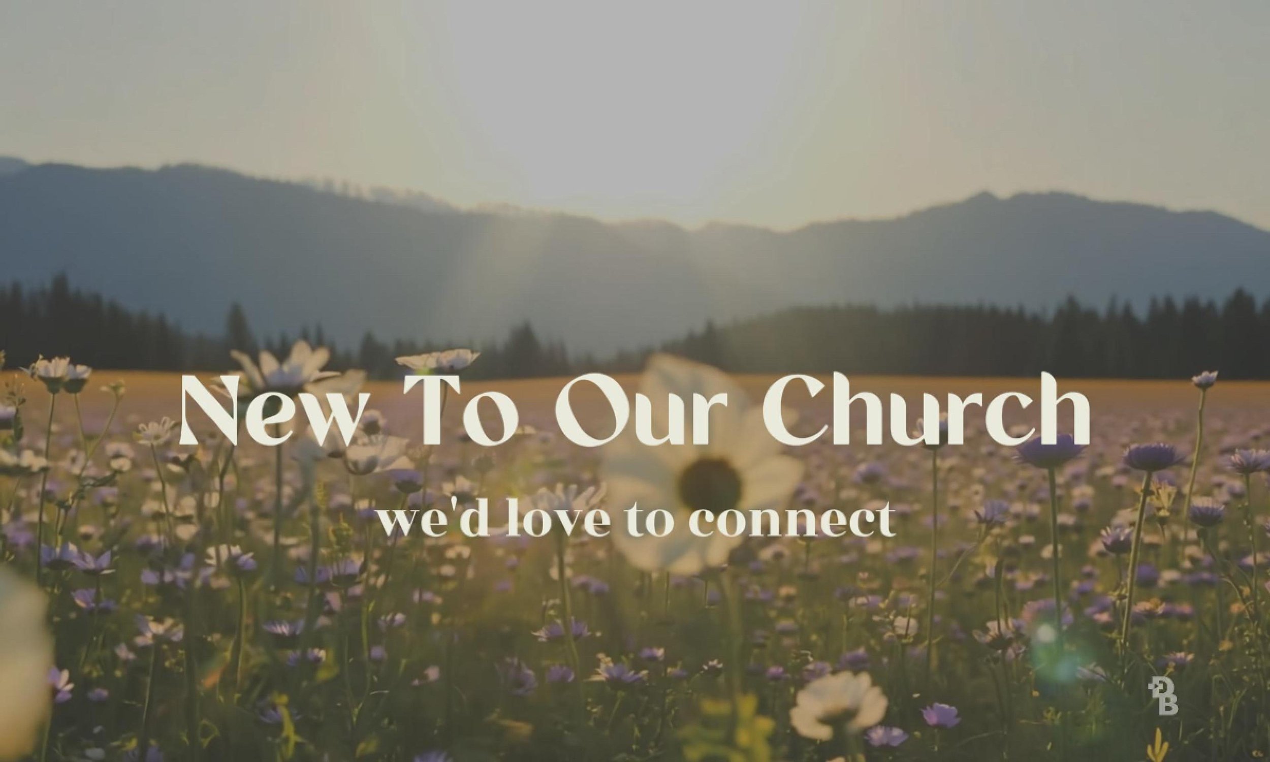 WILD FLOWER New To Our Church Still