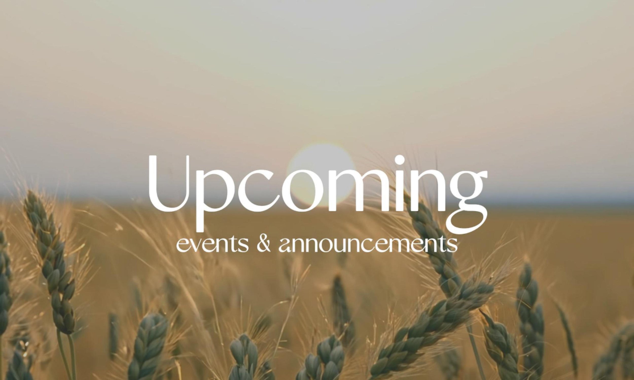 WHEAT Upcoming Still
