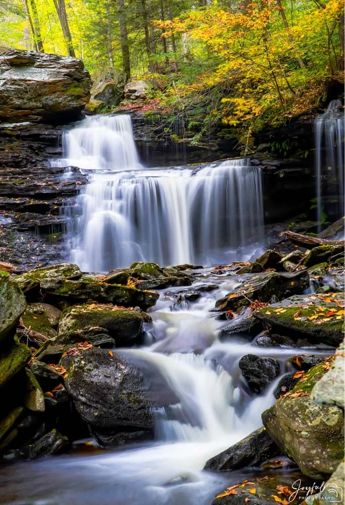 Ricketts Glen 6-74.jpg