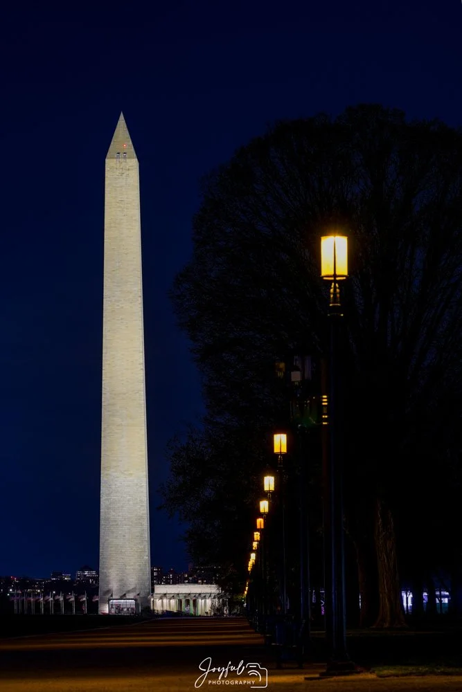 Washington Monument 3-96.jpg