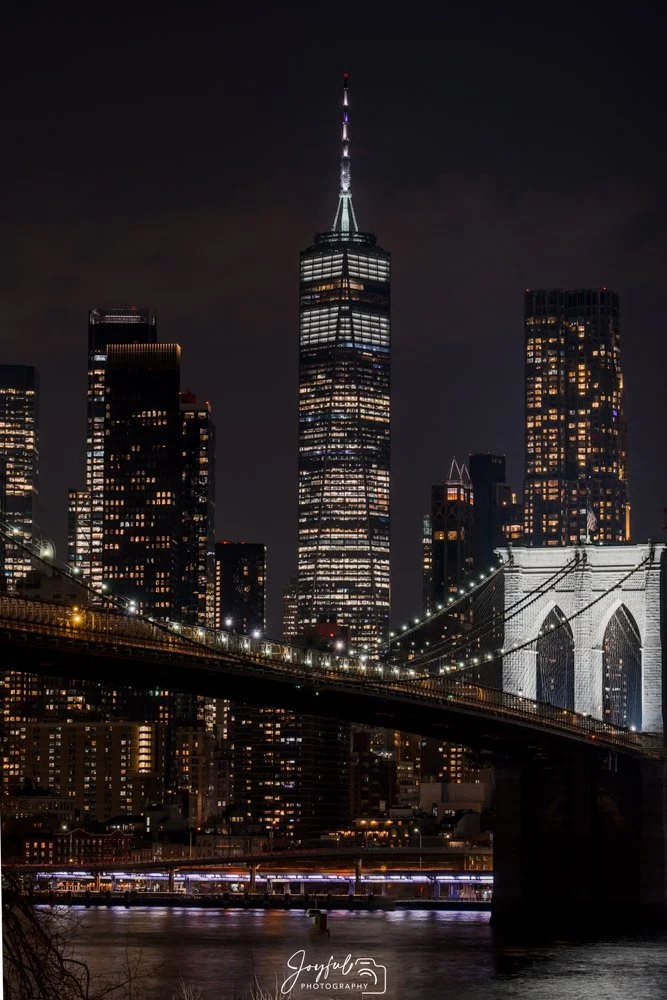Brooklyn Bridge Narrow HDR-90.jpg