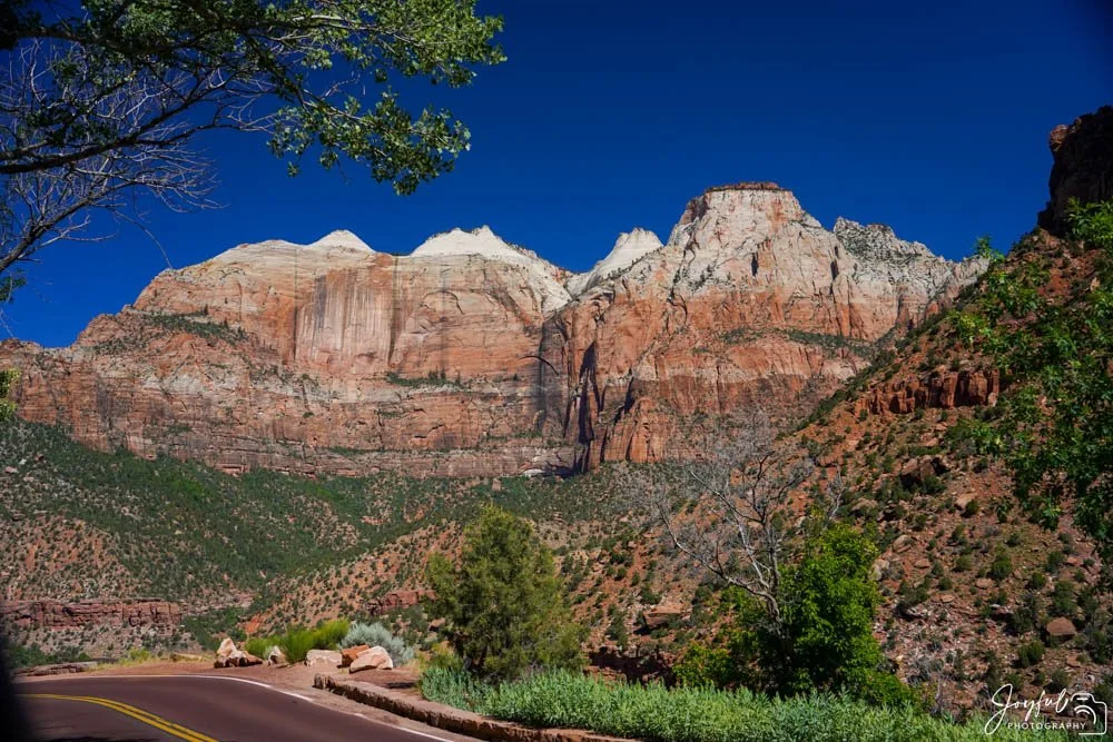Zion 1 (1 of 1)-28-56.jpg