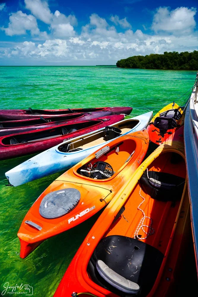 Kayak at the Mangroves Vertical-45.jpg