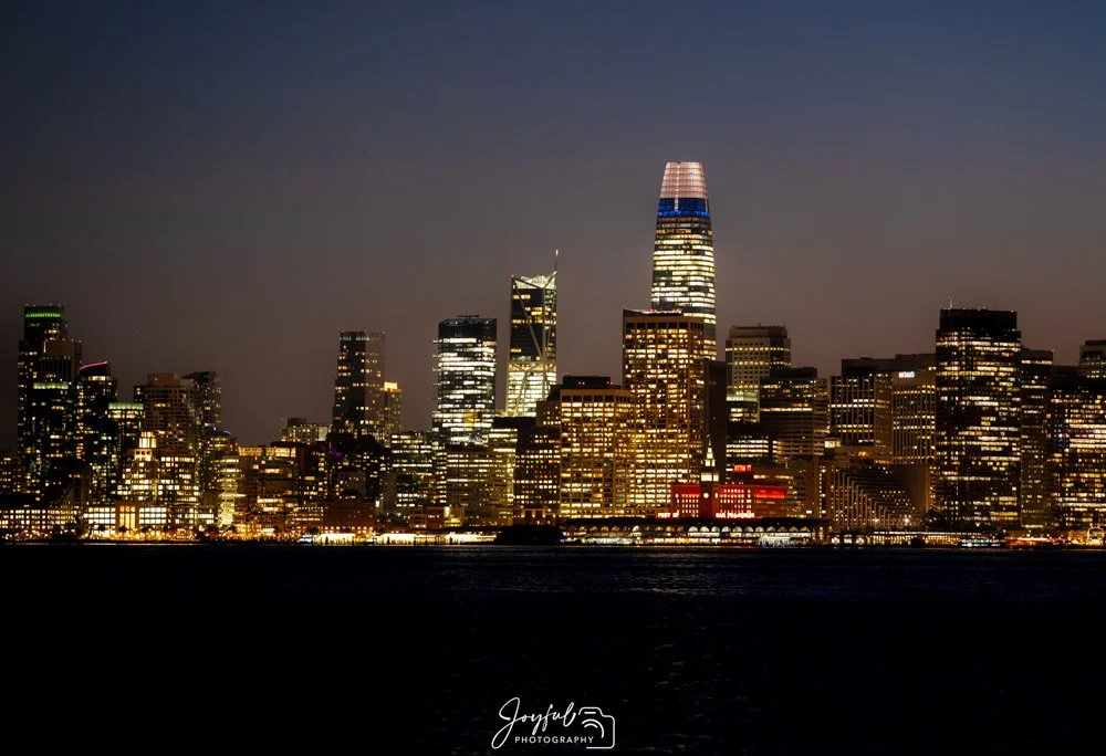 San Fran Skyline 4 (1 of 1)-8-22.jpg