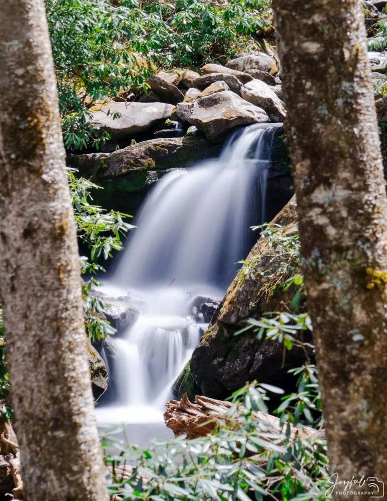 Tennessee 2 (1 of 1)-9-24.jpg