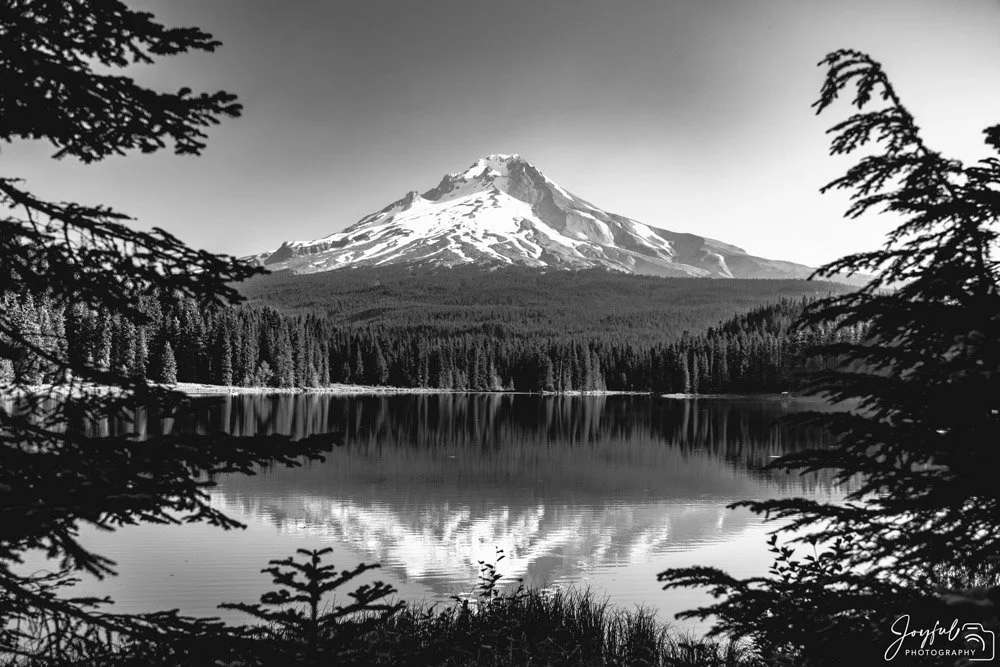 Hood -ale Trillium (1 of 1)-14-34.jpg