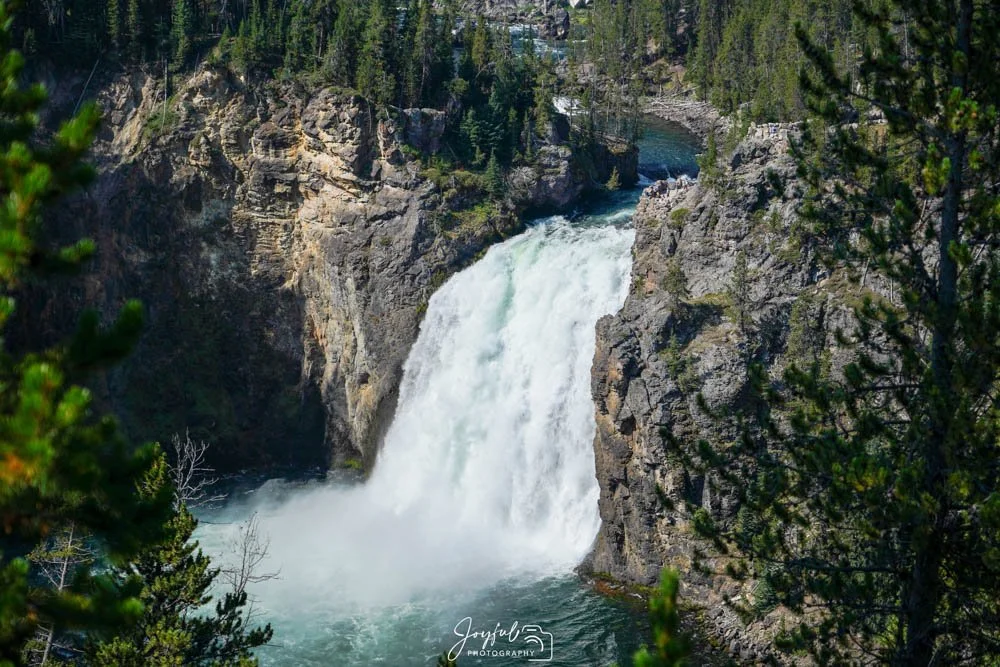 Yellowstone Upper Falls_-16.jpg