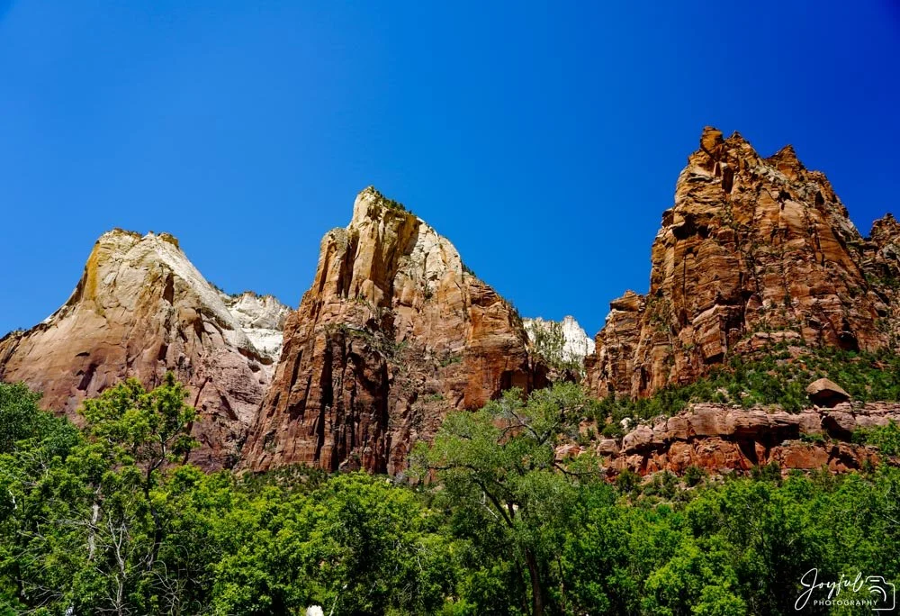 The Patriarchs (1 of 1)-26-54.jpg