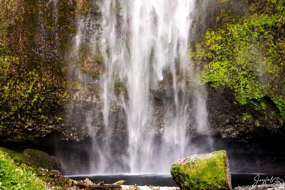 Oregon 1 (1 of 1)-13-31.jpg