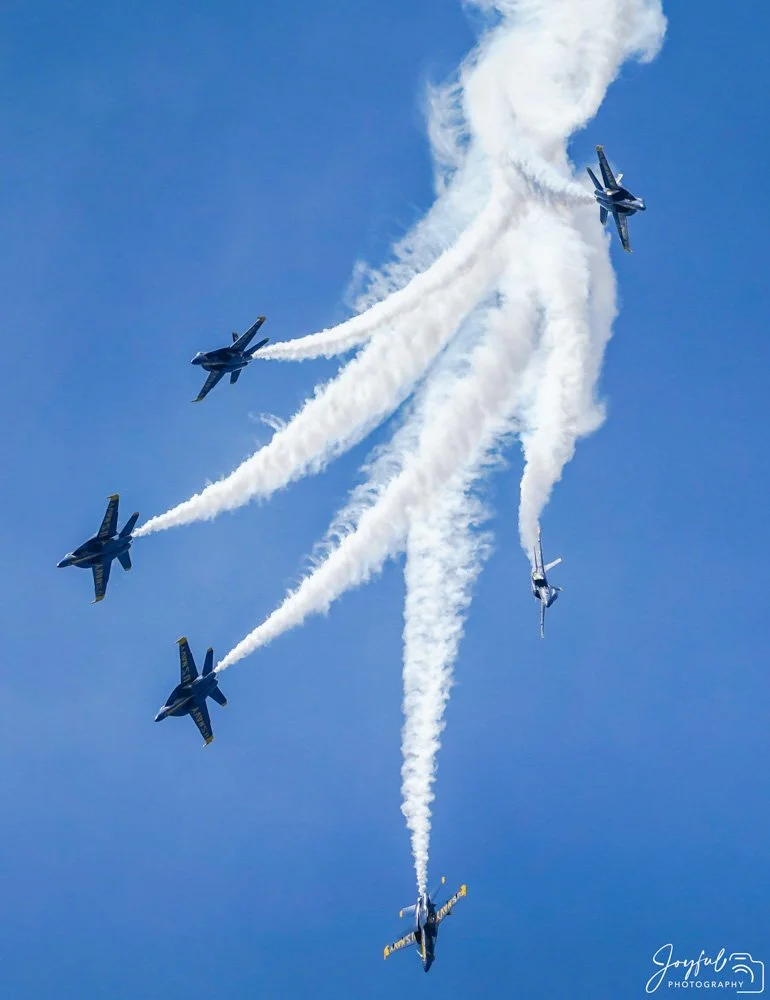 Airshows with logo-8-50.jpg