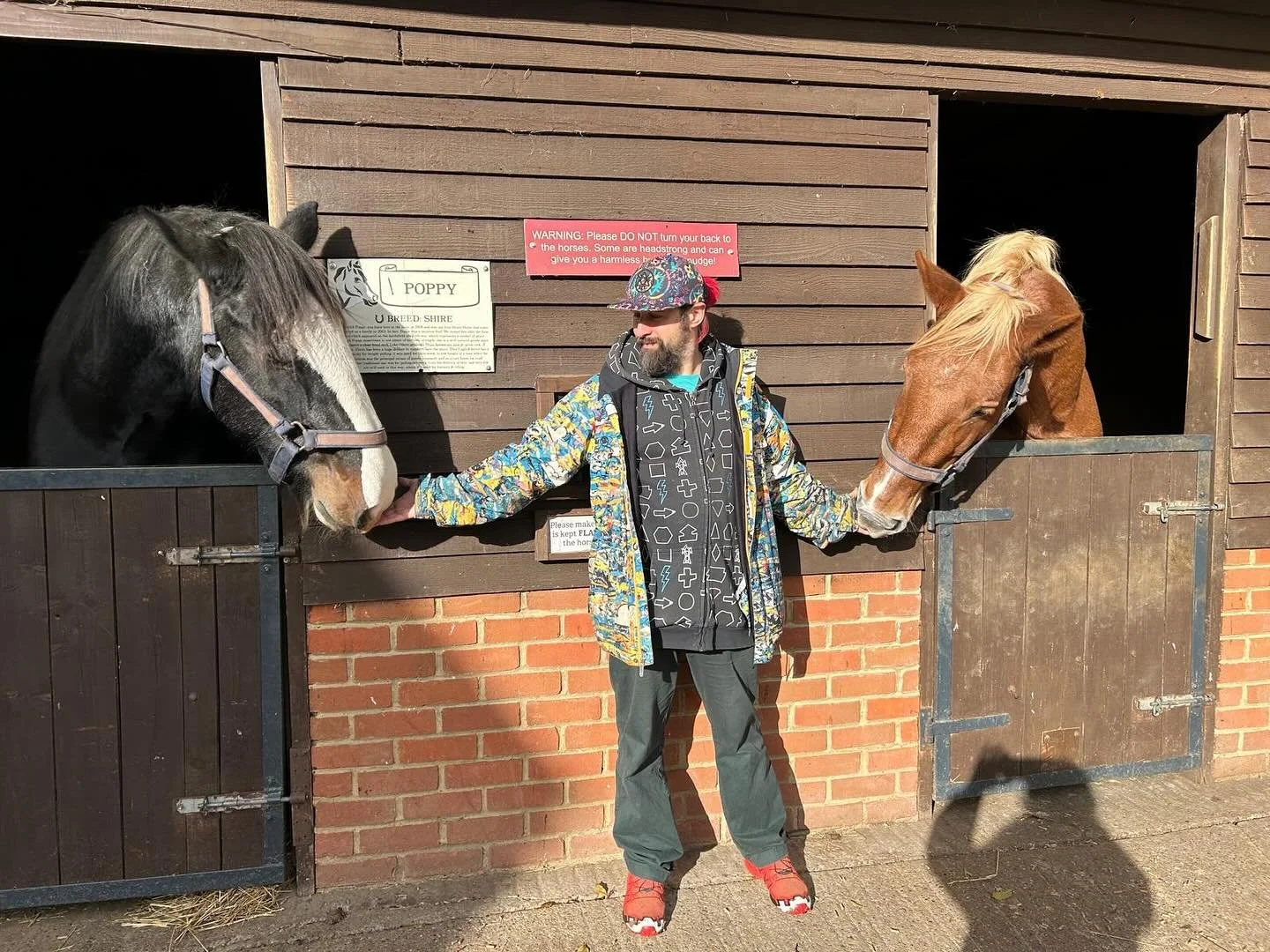 How we get down in Dorset 😀🐴 @dorsetheavyhorsefarmpark