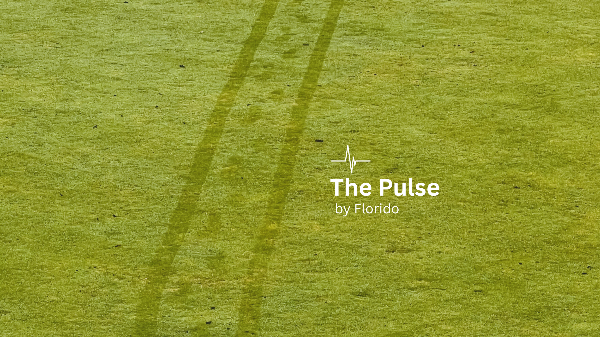 AI Is Sniffing Around Your P&amp;L. Let It.