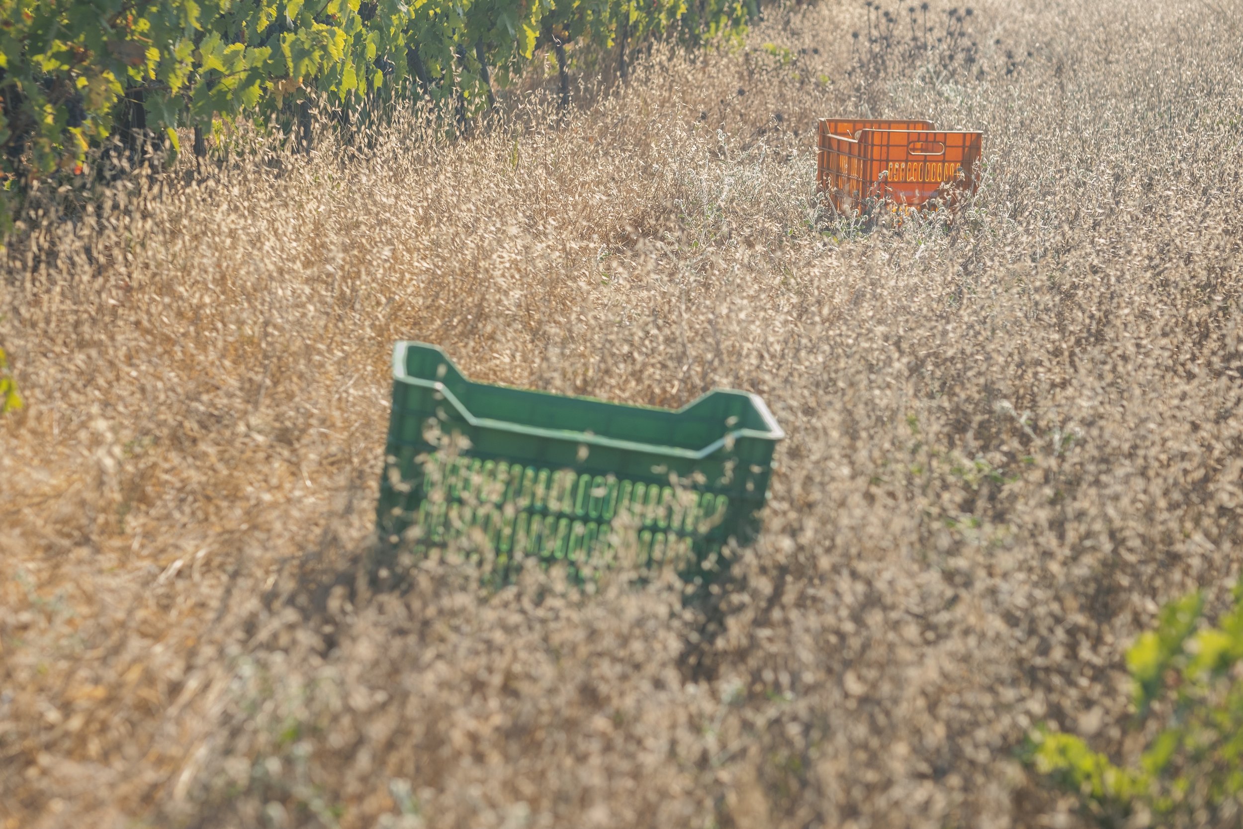 Dramatic Crates 2 (Aug 2022) copy.jpg