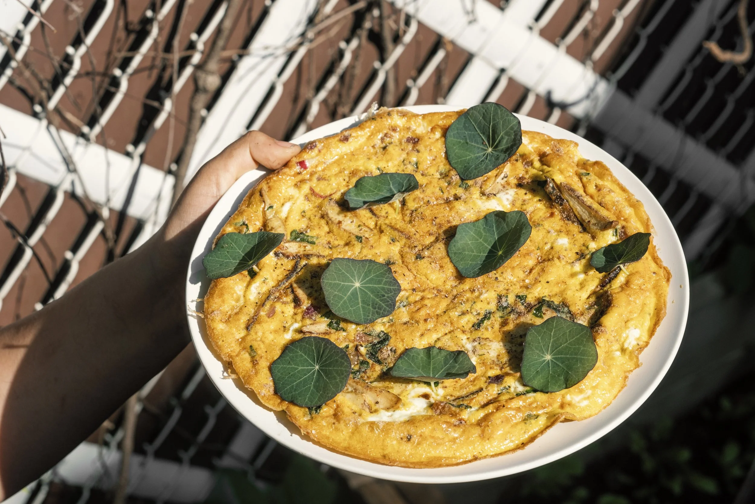 Harvest Basket 2 (Montreal, May 30 2023).jpg