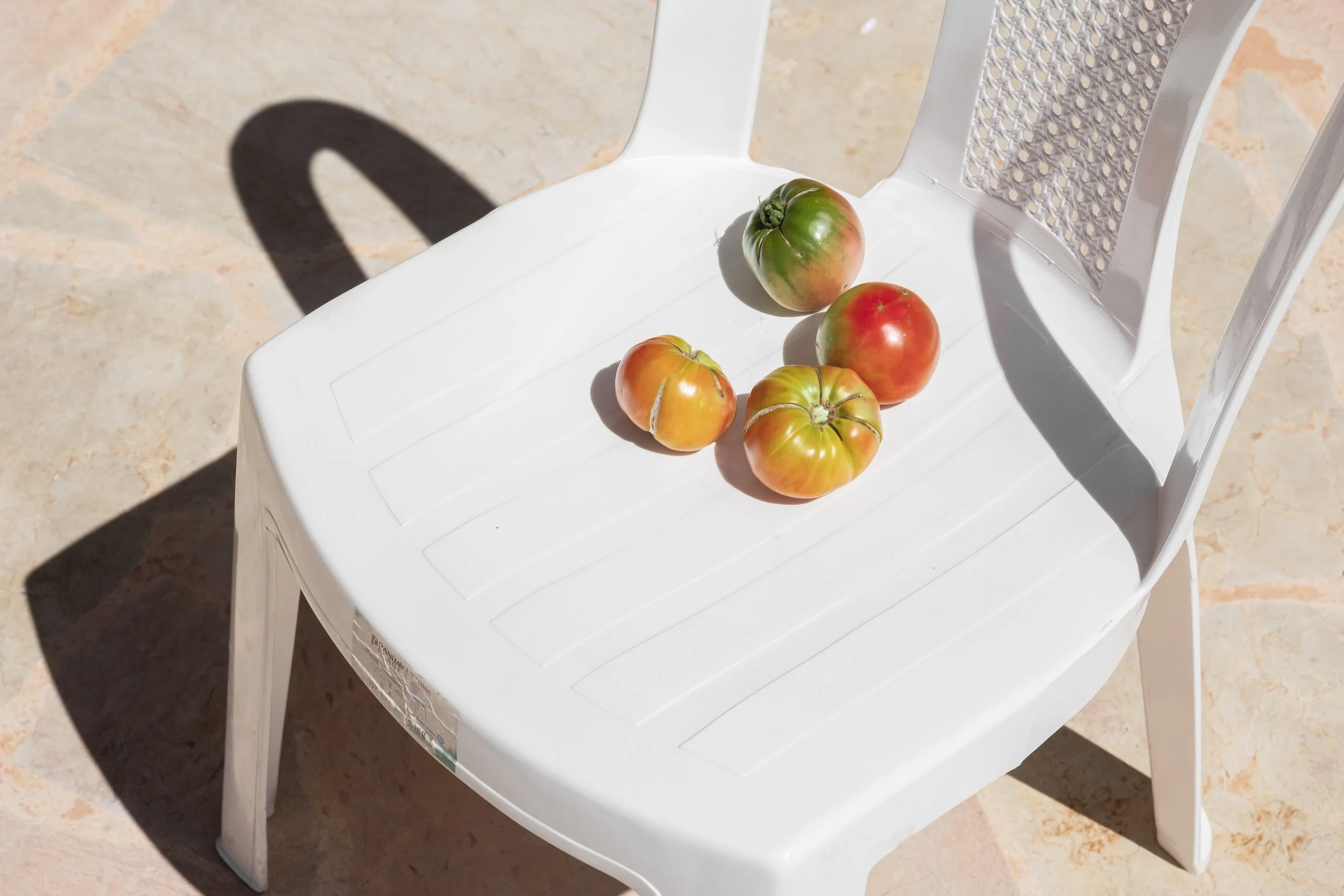 Ainata (November 2022).jpg