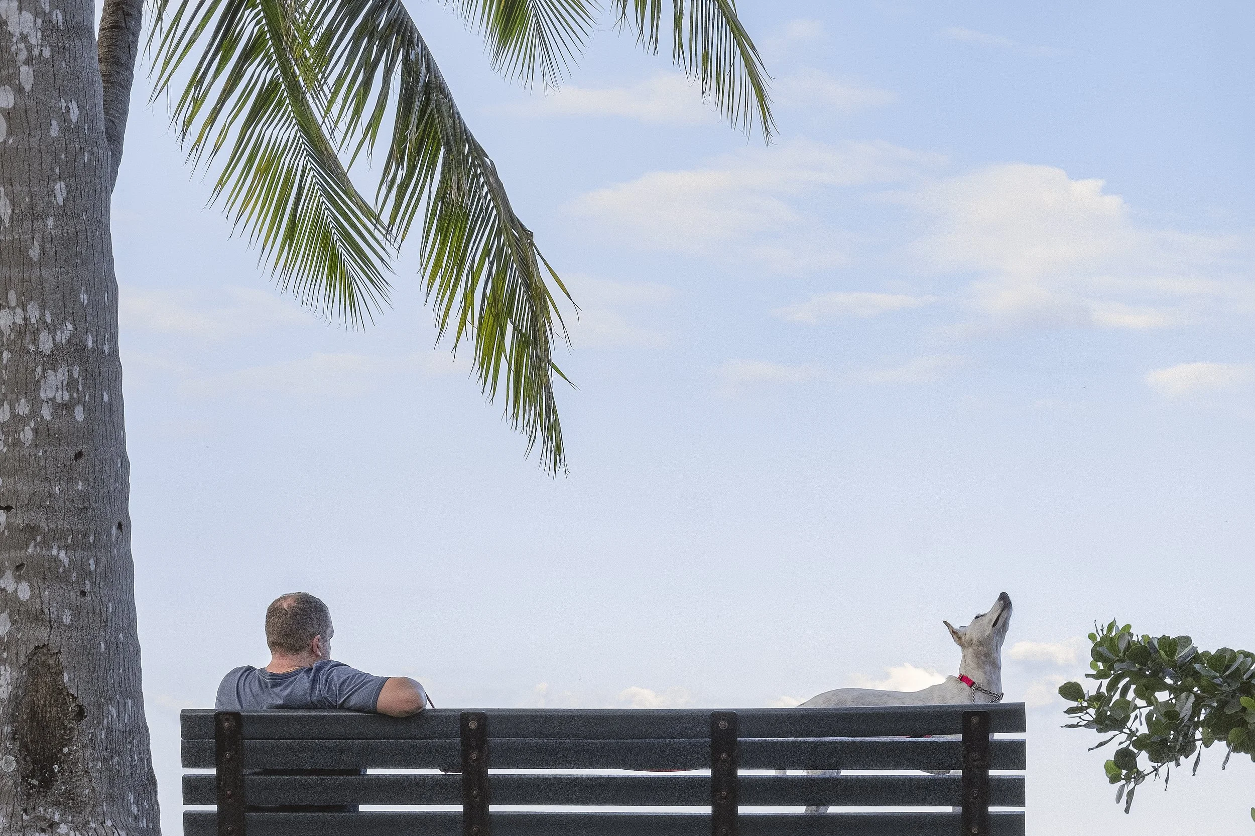 StreetShot3 (Nov. 8 2021).jpg