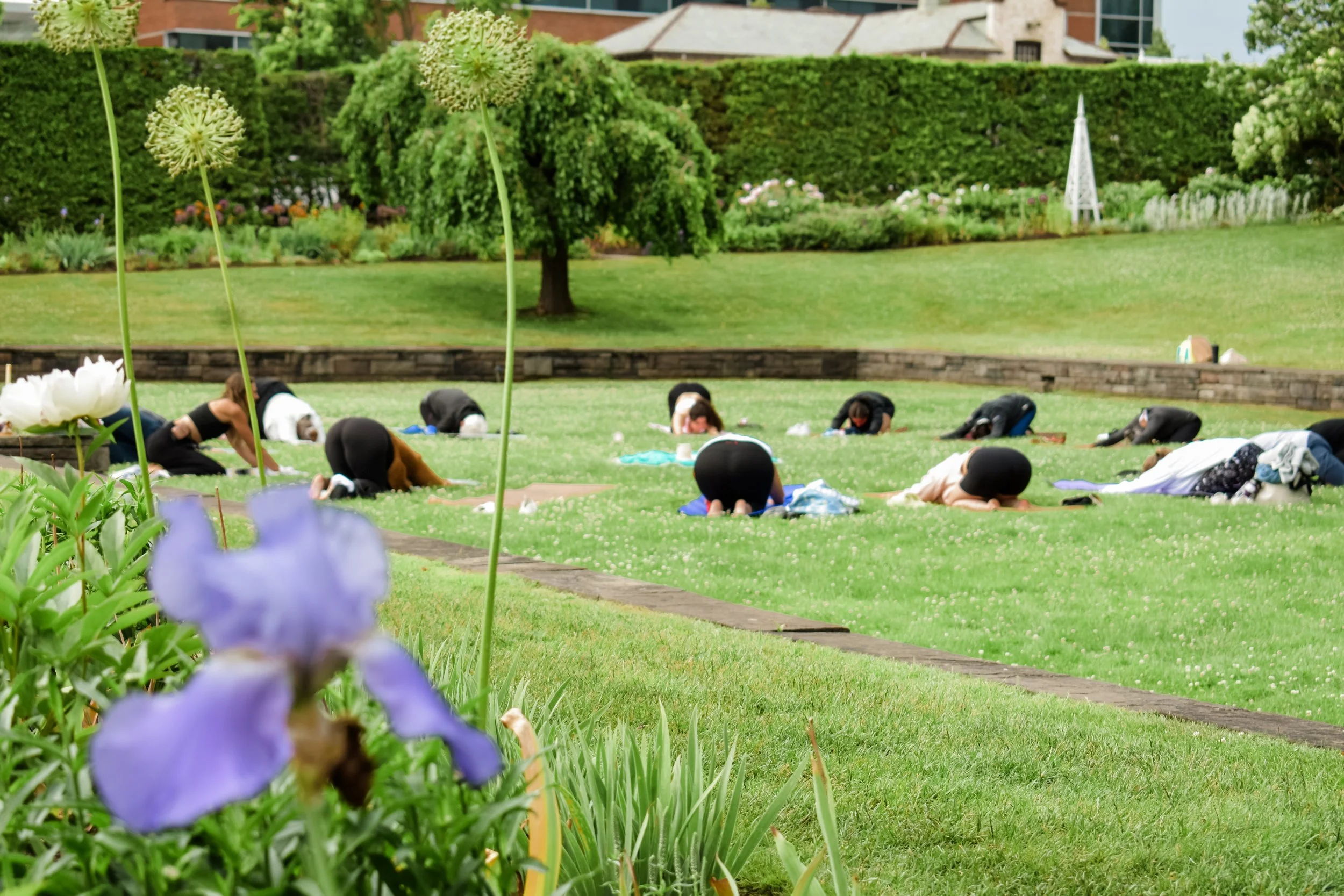 Yoga at Parkwood Estate