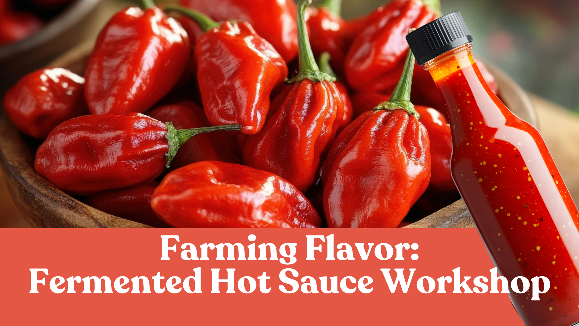 Farming Flavor: Fermented Hot Sauce Workshop