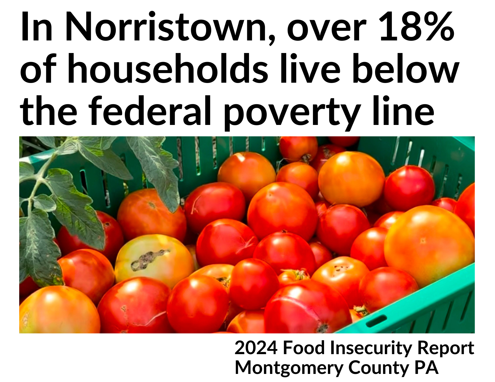 Text reads "In Norristown, over 18% of households live below the federal poverty line" above a basket of tomatoes. Caption states "2024 Food Insecurity Report Montgomery County PA."