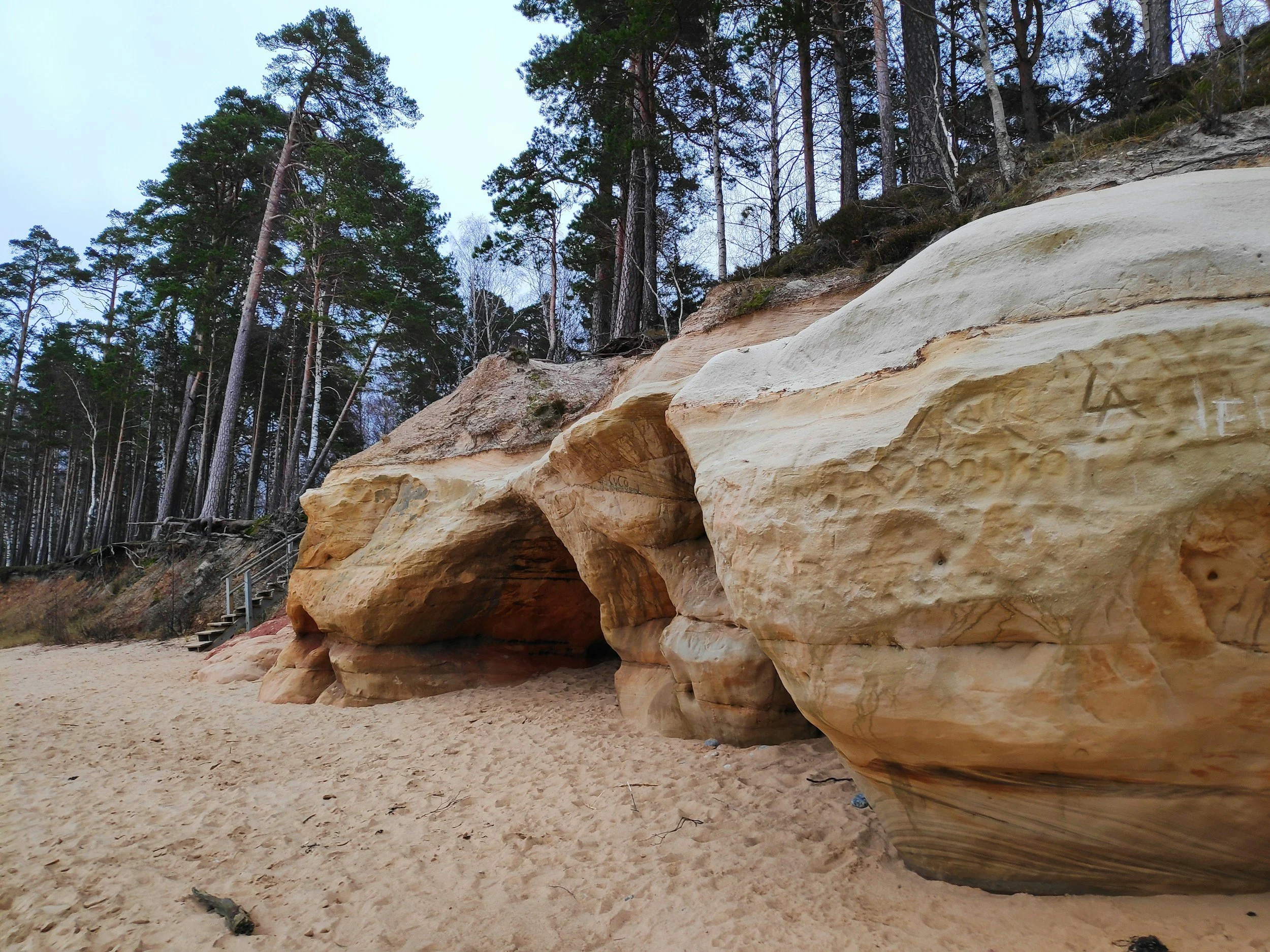 Large sandstone rock formations on sandy ground with forest of tall pine trees and a cloudy sky in the background.