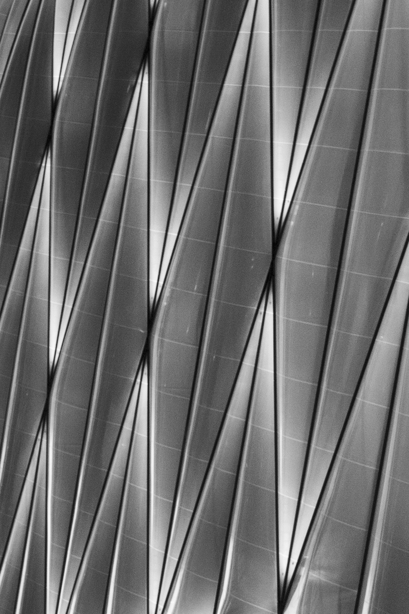 NEW YORK CITY, NEW YORK, 2025.