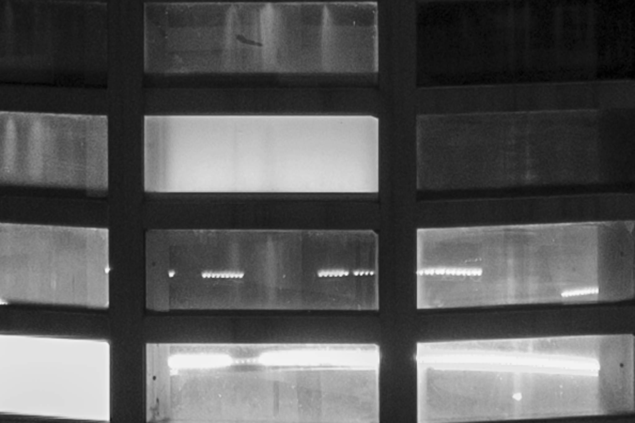 NEW YORK CITY, NEW YORK, 2025.