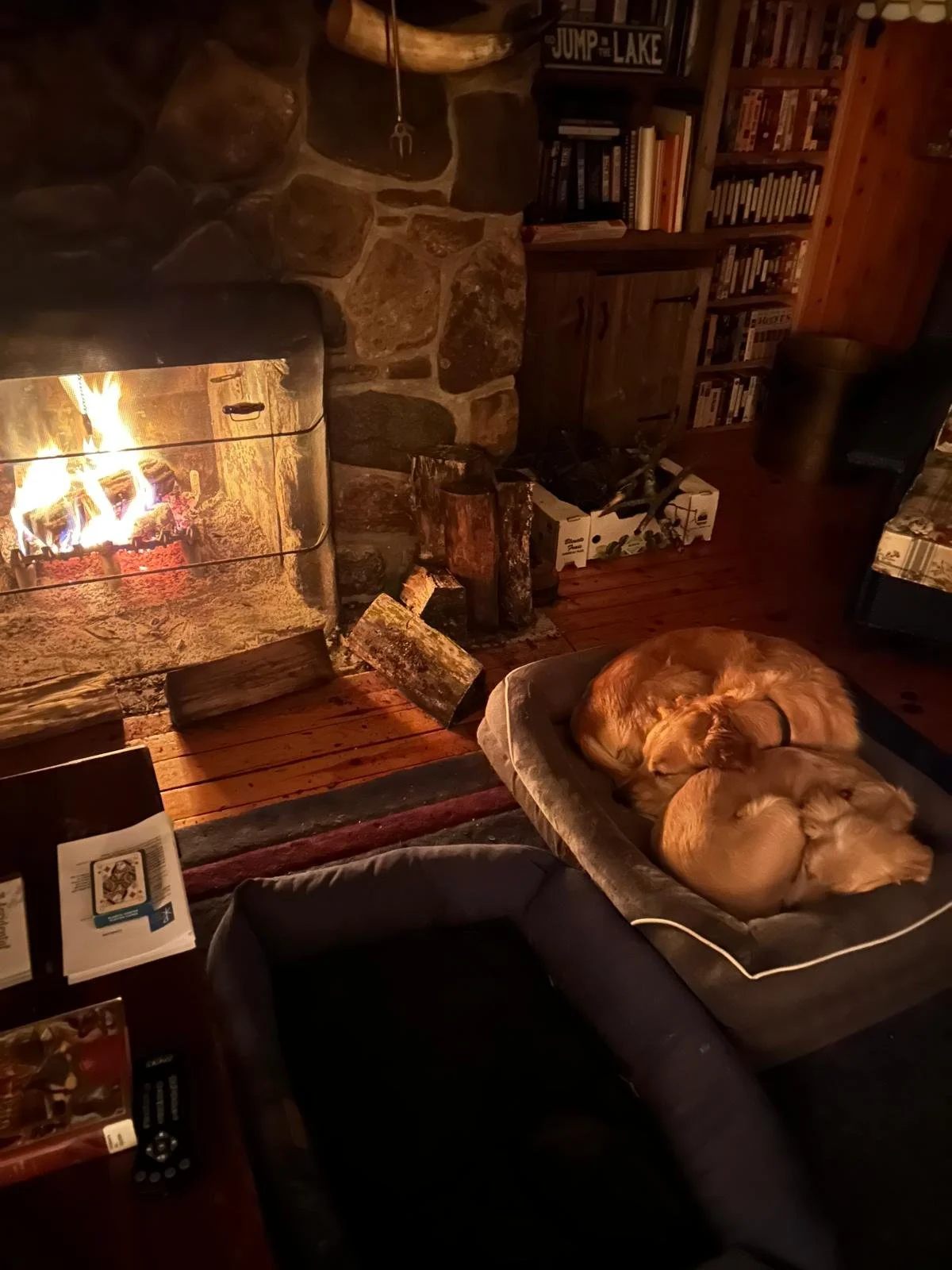 WhatsApp Image 2025-01-04 at 13.45.47.jpeg