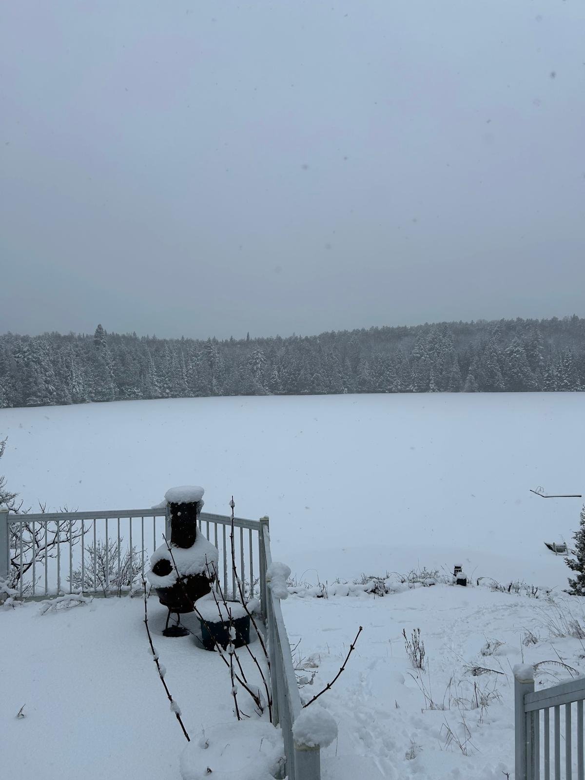 WhatsApp Image 2025-01-04 at 13.45.47 (1).jpeg