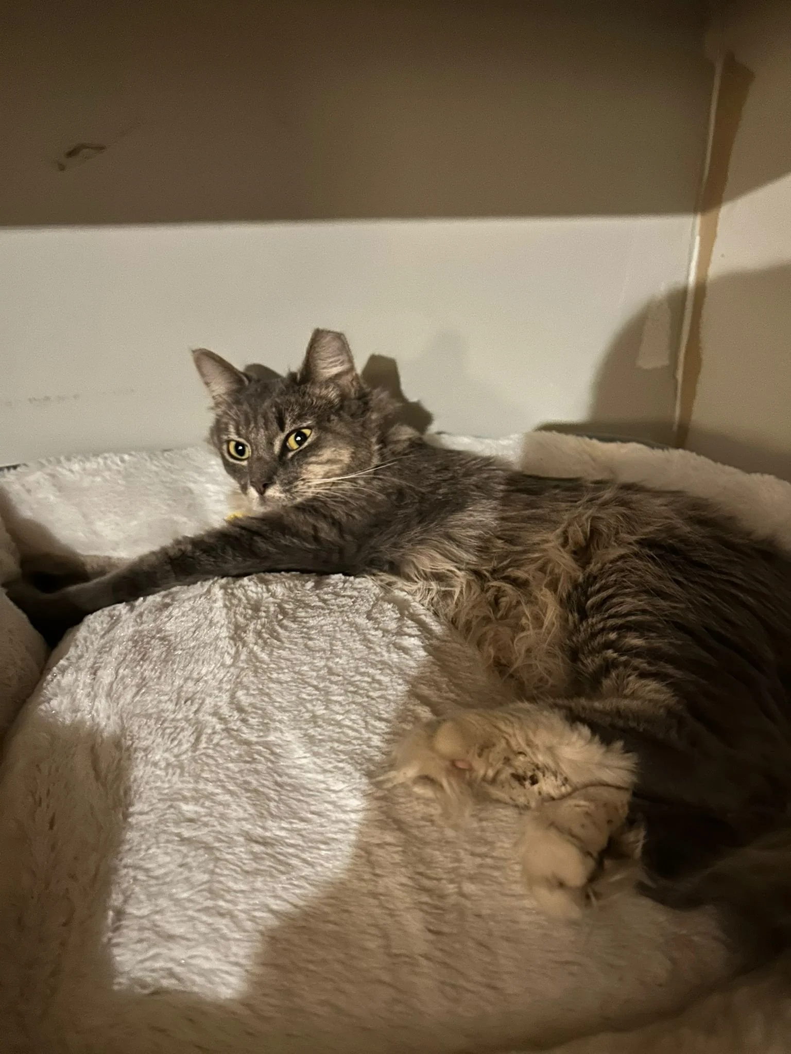 WhatsApp Image 2025-01-12 at 16.34.32.jpeg