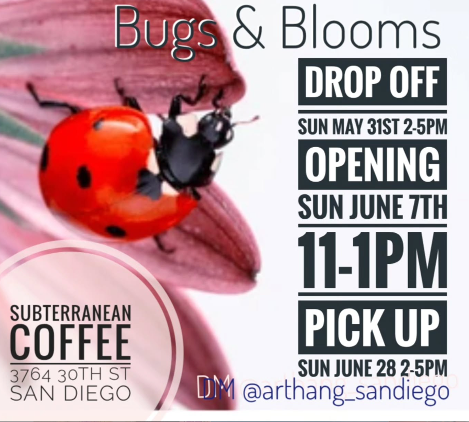 Art Hang - Bugs and Blooms