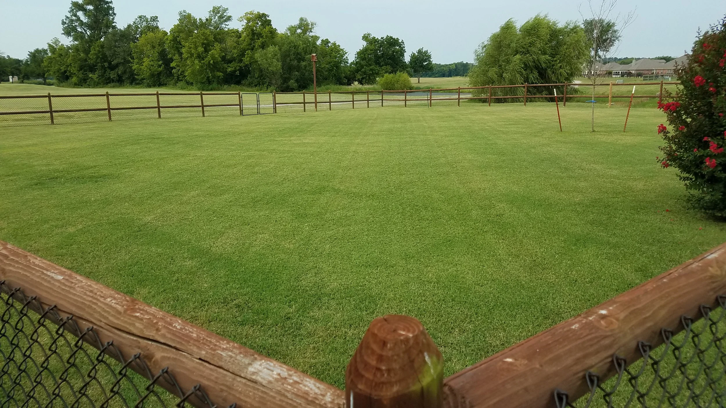 20170805_092940.jpg