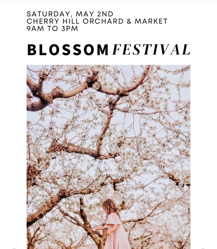 Cherry Blossom Festival 