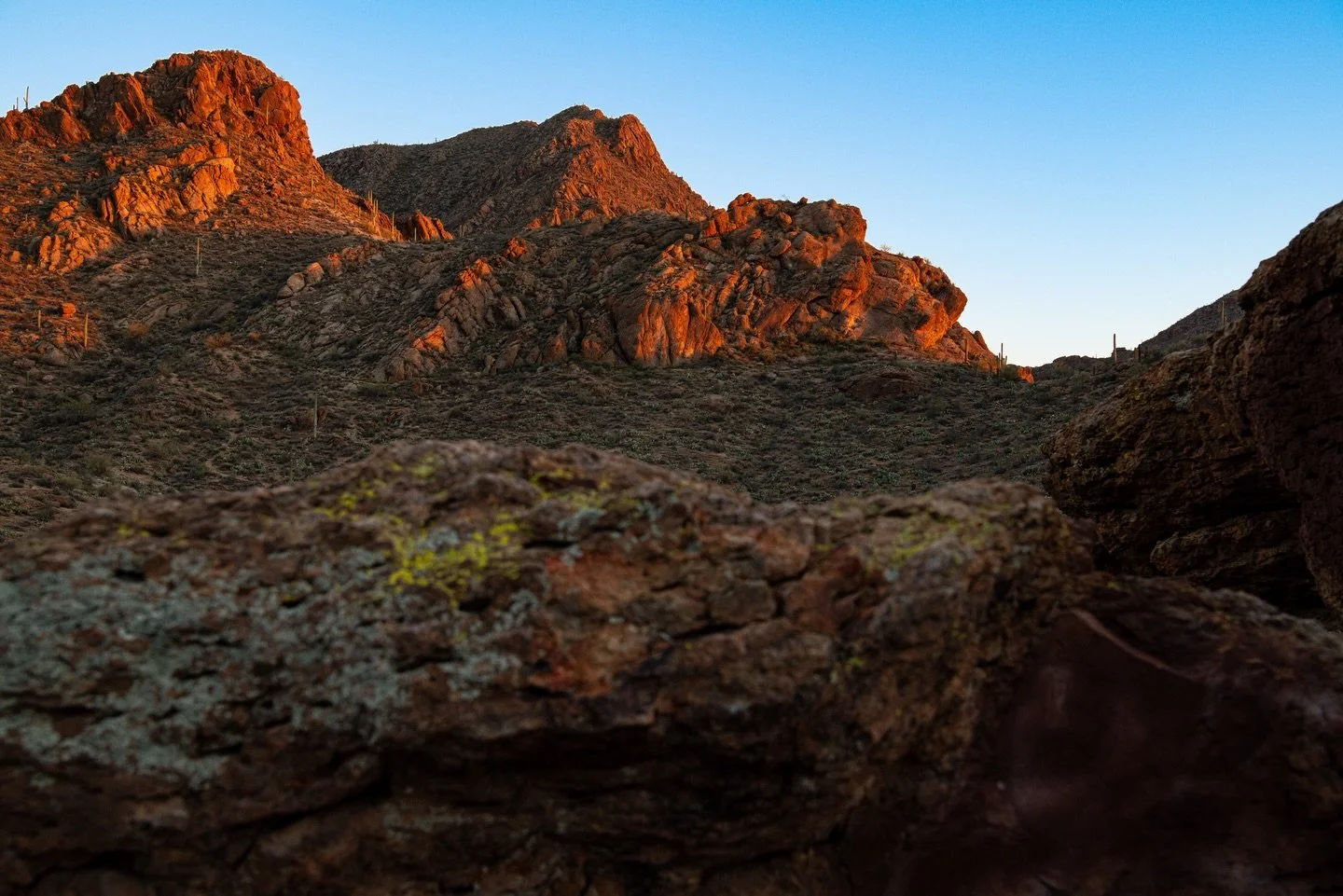 saguaro national park near tucson az

#desertlandscape #landscapesphotography #tucsonarizona #saguaronationalpark #nationalparksusa