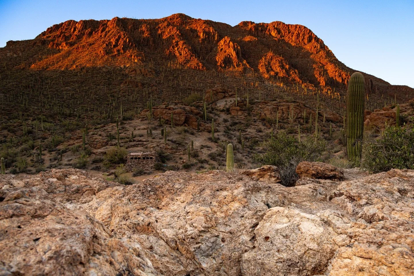 saguaro national park near tucson az during a heat wave. the ice would not stay solid and the water would not stay liquid. 

#desertlandscape #landscapesphotography #tucsonarizona #saguaronationalpark #nationalparksusa