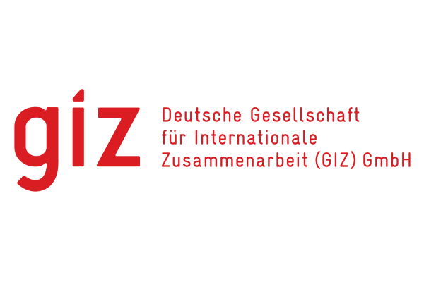 dheinemann_giz.png