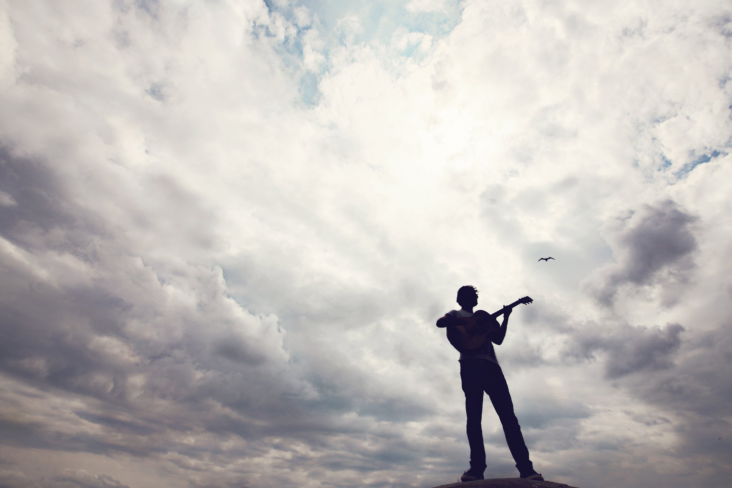 Silhouette of a person playing a guitar against a cloudy sky with a bird flying.